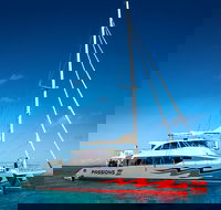 Passions of Paradise Great Barrier Reef Snorkel and Dive Cruise from Cairns by Luxury Catamaran - Hotel NSW