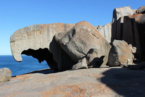 Kangaroo Island Personal Group Tours - Hotel NSW 2