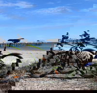 Adelaide City to Sea Bike Tour - Hotel NSW