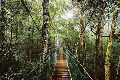 O'Reilly's & Lamington National Park From Gold Coast - Hotel NSW 0