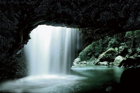 Natural Bridge Glow Worm Night Tour From Gold Coast - Hotel NSW 0