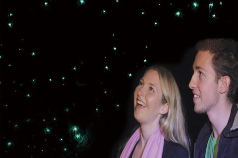 Natural Bridge Glow Worm Night Tour From Gold Coast - Hotel NSW 3