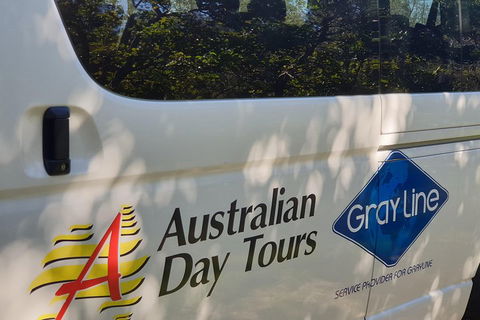 Natural Bridge Glow Worm Night Tour From Gold Coast - Hotel NSW 5