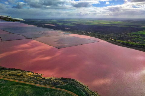 Kalbarri, Pink Lake And Abrolhos Islands Nature Tour - Hotel NSW 1