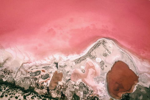 Kalbarri, Pink Lake And Abrolhos Islands Nature Tour - Hotel NSW 2