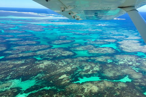 Kalbarri, Pink Lake And Abrolhos Islands Nature Tour - Hotel NSW 5