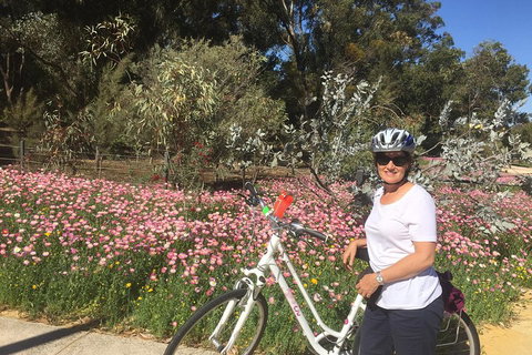Perth Bike Tour - Beautiful Matilda Bay And Kings Park - Hotel NSW 1