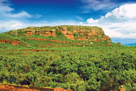 Kakadu, Nourlangie And Yellow Waters Tour From Darwin - Hotel NSW 3