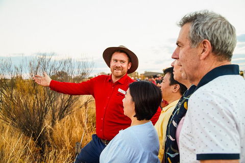 Uluru (Ayers Rock) Sunset With Outback Barbecue Dinner And Star Tour - Hotel NSW 3