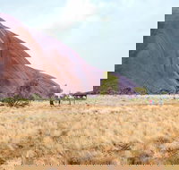 Uluru Sunrise and Guided Base Walk - Hotel NSW