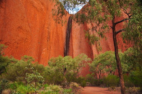 Uluru Sunrise And Guided Base Walk - Hotel NSW 3