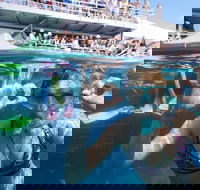 Great Barrier Reef Day Cruise from Cairns Including Snorkeling and Marine Biologist Presentation - Hotel NSW