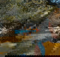 Kayak Tour in Adelaide Dolphin Sanctuary - Hotel NSW