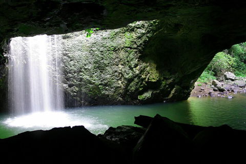 Natural Bridge & Springbrook Waterfalls Tour + Hot Air Balloon With Breakfast - Hotel NSW 2