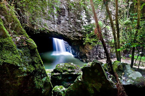 Natural Bridge & Springbrook Waterfalls Tour + Hot Air Balloon With Breakfast - Hotel NSW 4