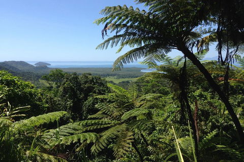 Daintree And Cape Tribulation Full Day Guided Tour - Hotel NSW 2