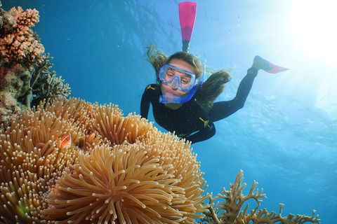 Quicksilver Outer Great Barrier Reef Snorkel Cruise From Port Douglas - Hotel NSW 2