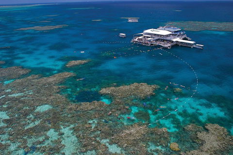Quicksilver Outer Great Barrier Reef Snorkel Cruise From Port Douglas - Hotel NSW 3