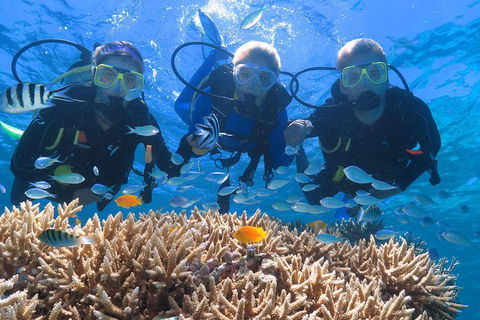 Quicksilver Outer Great Barrier Reef Snorkel Cruise From Port Douglas - Hotel NSW 4