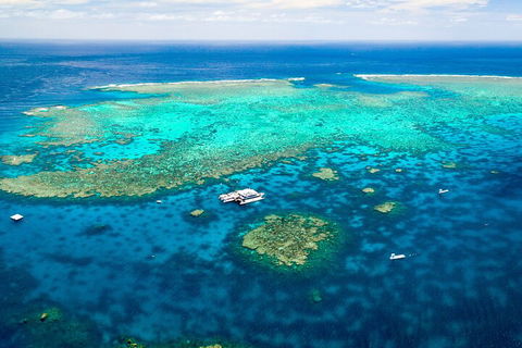 Quicksilver Outer Great Barrier Reef Snorkel Cruise From Port Douglas - Hotel NSW 5