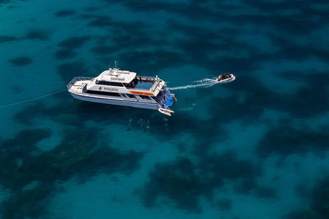 Quicksilver Dive 4 Day PADI Learn To Dive Course - Hotel NSW 1