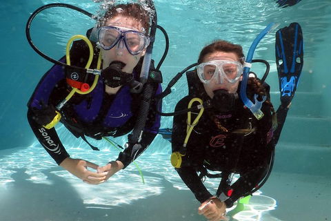 Quicksilver Dive 4 Day PADI Learn To Dive Course - Hotel NSW 2