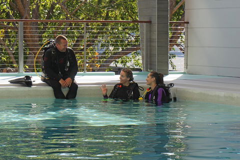 Quicksilver Dive 4 Day PADI Learn To Dive Course - Hotel NSW 3