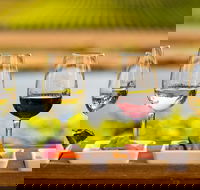 Launceston Private Charter Service - Hotel NSW