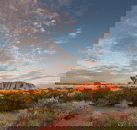 Uluru Kata Tjuta and Kings Canyon Camping Safari from Alice Springs - Hotel NSW