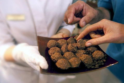 Explore Adelaide City Tour: Haigh's Tasting Chocolate & Adelaide Oval Tour - Hotel NSW 2