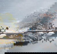 3.5 Hours Walking Tour to Cataract Gorge with Local Guide - Hotel NSW