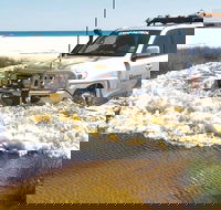 Full-Day Moreton Island 4x4 Sightseeing Tour - Hotel NSW