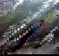 Active Day Tour One-Way from Launceston to Hobart via Wineglass Bay - Hotel NSW