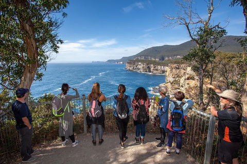 Historic Port Arthur Day Trip From Hobart Including Cliff-Top Walk To Waterfall Bay - Hotel NSW 0