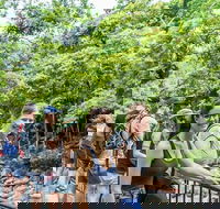 Cape Tribulation Mossman Gorge and Daintree Rainforest Day Trip from Cairns or Port Douglas - Hotel NSW