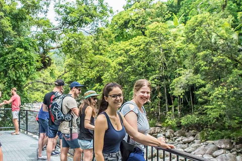 Cape Tribulation, Mossman Gorge, And Daintree Rainforest Day Trip From Cairns Or Port Douglas - Hotel NSW 0