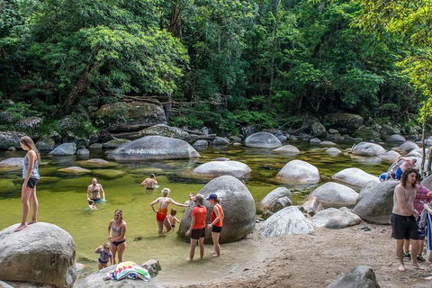 Cape Tribulation, Mossman Gorge, And Daintree Rainforest Day Trip From Cairns Or Port Douglas - Hotel NSW 1