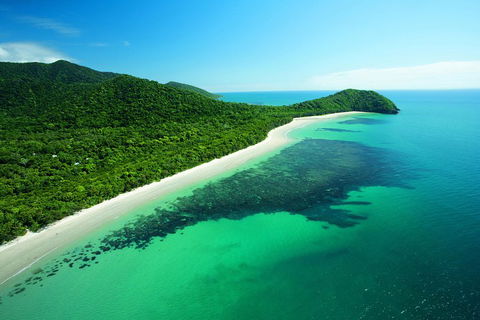 Cape Tribulation, Mossman Gorge, And Daintree Rainforest Day Trip From Cairns Or Port Douglas - Hotel NSW 2