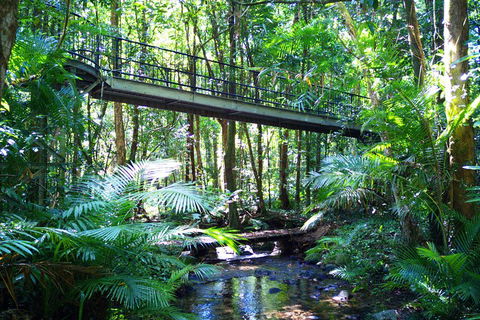 Cape Tribulation, Mossman Gorge, And Daintree Rainforest Day Trip From Cairns Or Port Douglas - Hotel NSW 3