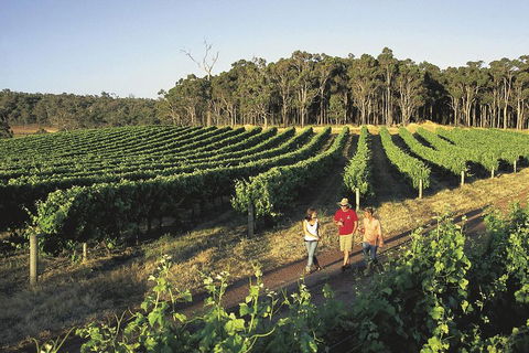 Margaret River, Caves, Wine And Cape Leeuwin Lighthouse Tour From Perth - Hotel NSW 1