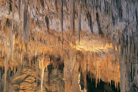 Margaret River, Caves, Wine And Cape Leeuwin Lighthouse Tour From Perth - Hotel NSW 3