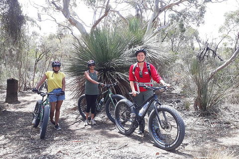 2 Hour Bike Tour In Kangaroo Island - Hotel NSW 0