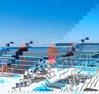 Calypso Outer Great Barrier Reef Cruise from Port Douglas - Hotel NSW