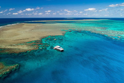 Calypso Outer Great Barrier Reef Cruise From Port Douglas - Hotel NSW 1