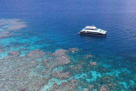 Calypso Outer Great Barrier Reef Cruise From Port Douglas - Hotel NSW 4