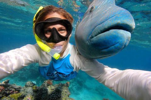 Calypso Outer Great Barrier Reef Cruise From Port Douglas - Hotel NSW 5