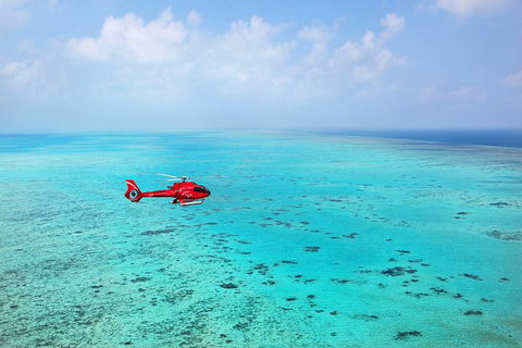 Port Douglas Scenic Flights - Hotel NSW 0