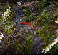 Ultimate Great Barrier Reef and Rainforest 45-minute Helicopter Tour - Hotel NSW