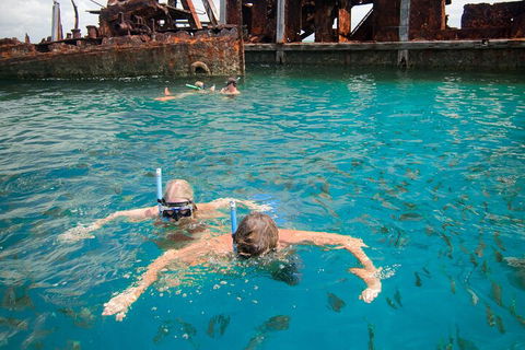 Moreton Island Snorkel And Sandboarding 4WD Day Trip From Brisbane - Hotel NSW 0