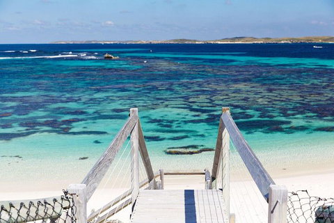 Perth To Rottnest Island Roundtrip Ferry Ticket - Hotel NSW 0